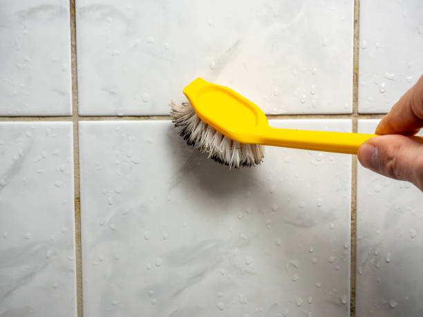 Best Same-Day Mold Removal  in Harwich Center, MA
